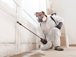 Mold removal and remediation