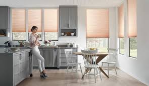 motorized window blinds and shades