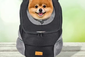 dog travel suitcase