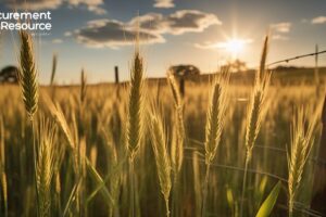 Barley Price Trend