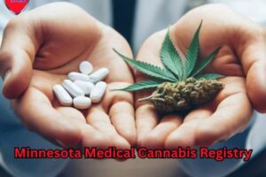 Minnesota Medical Cannabis Registry