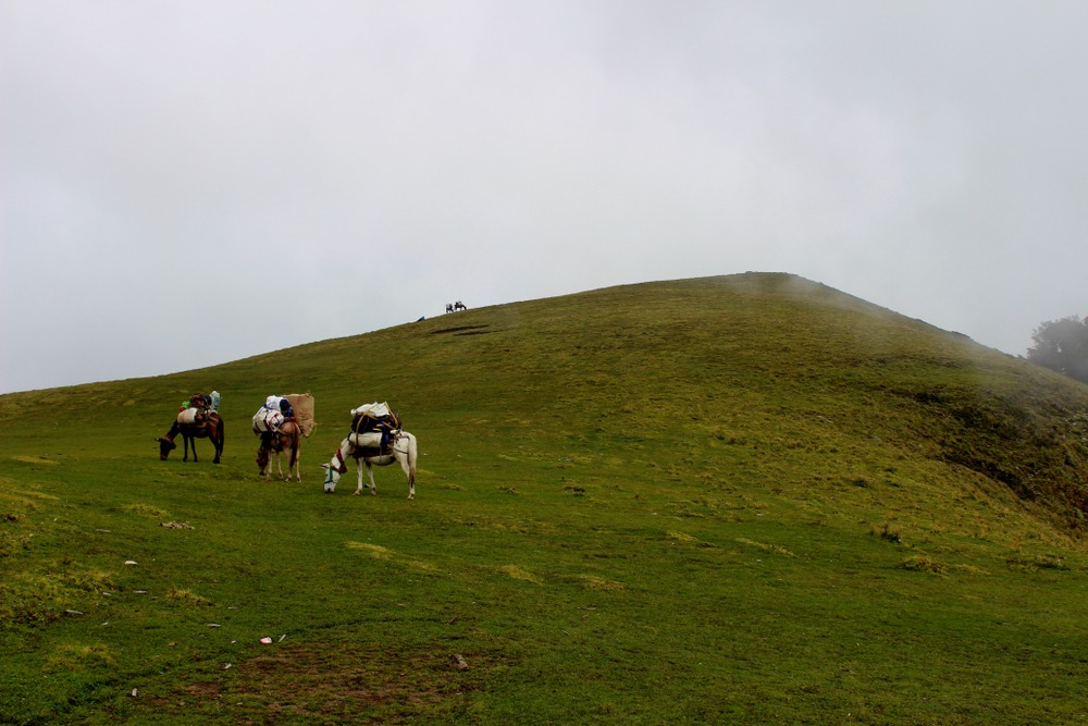 Mountains