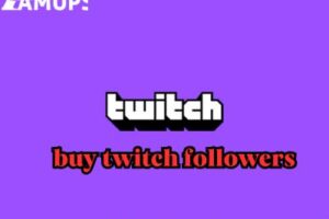 best sites to buy twitch followers