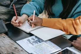 write my assignment