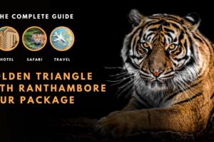 golden triangle tour with ranthambore