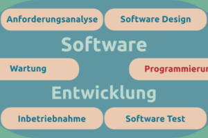 softwareentwicklung agentur