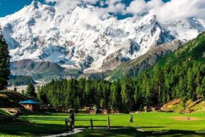 fairy meadows tour by nature explorer tours