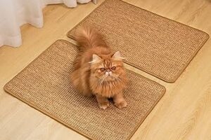 Cat scratching mat
