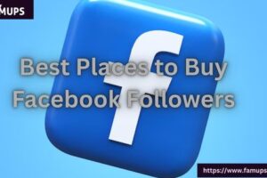 Best Places to Buy Facebook Followers