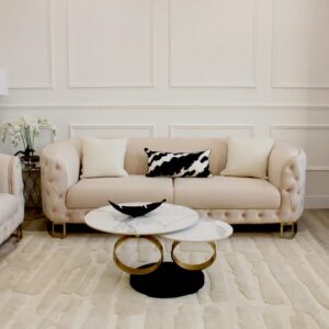 luxurious furniture