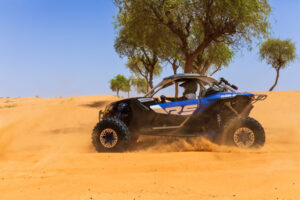 2-seater-canam
