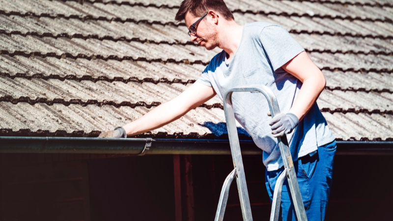 Gutter Cleaning Services in Hamilton