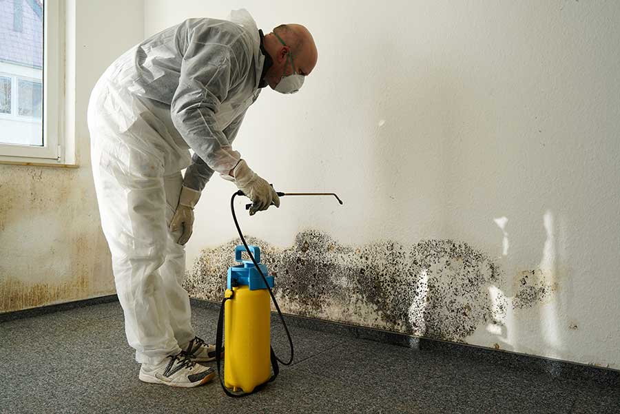 Mold Testing Services Howard County