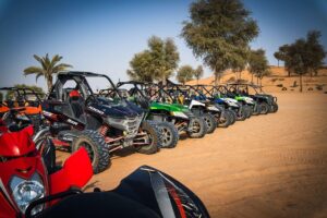 Private Buggy Ride