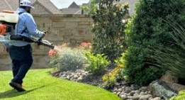 Pest Control Waco