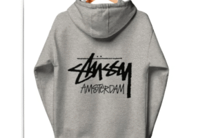Wave Riders The Stussy and Playboy Hoodie Legacy