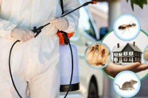 Pest control worker wearing protective gear and spraying insecticide, with images of various pests like spiders, cockroaches, flies, and centipedes inside a red crossed-out circle.