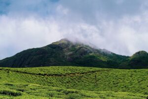 8 days kerala spice tour package