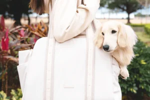 puppy carry harness