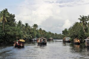 7 Days Yoga and Ayurveda Tour in Kerala