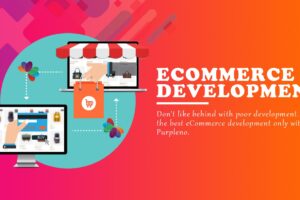 web development services