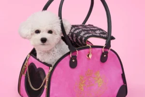 dog and carrier