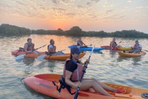 Qatar Eco-Friendly Kayaking Tour