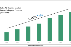 India Air Purifier Market
