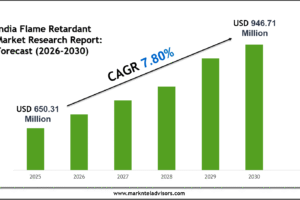India Flame Retardant Market