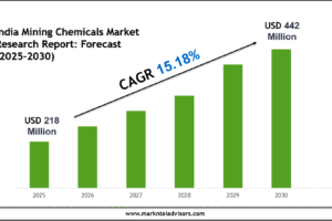 India Mining Chemicals Market