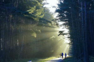 Tokyo private pickup for Mount Fuji tour