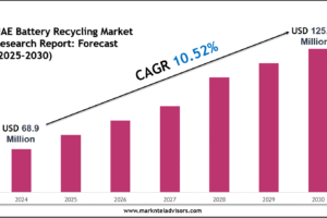 UAE Battery Recycling Market