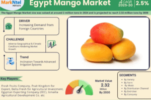 Egypt Mango Market