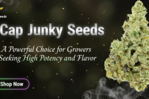 Cap Junky Seeds
