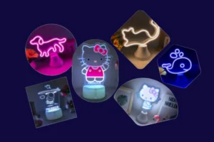 Neon Light Supplier