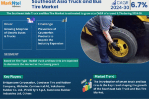 Southeast Asia Truck and Bus Tire Market