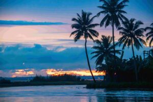 kerala tour packages