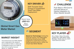 Smart Gas Meter Market