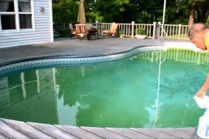 Top 7 Pool Water Purification Services to Keep Your Pool Crystal Clear