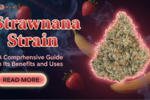 Strawnana Strain