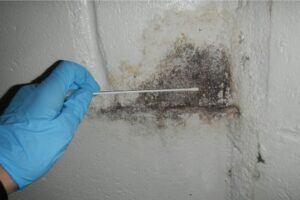 Mold Testing Nassau County NY, Certified Home Inspection Nassau County NY